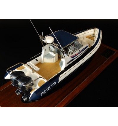 Custom Models - RAYGLASS BOATS - Rayglass Protector 8.5 custom model - Abordage