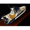 Custom Models - RAYGLASS BOATS - Rayglass Protector 8.5 custom model - Abordage