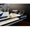 Custom Models - RAYGLASS BOATS - Rayglass Protector 8.5 custom model - Abordage