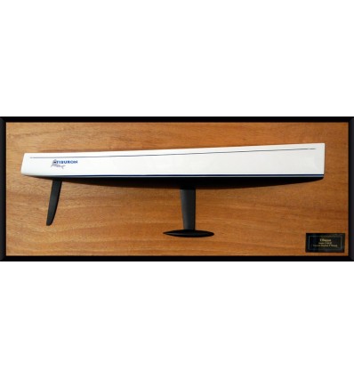 Custom Half Models - - Santa Cruz 37 flush deck half hull - Abordage