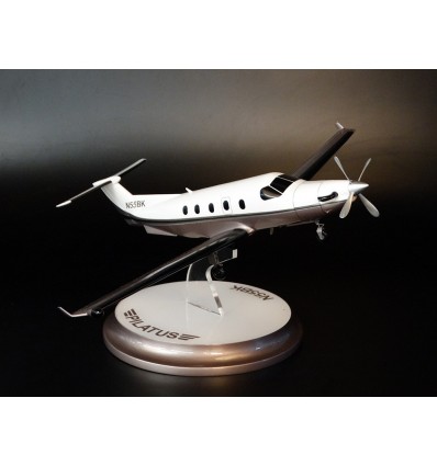 Other Models & Prototypes - - Pilatus N55BK Airplane Model - Abordage