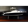 Custom Models - WELLCRAFT - WELLCRAFT 290 Coastal custom model - Abordage