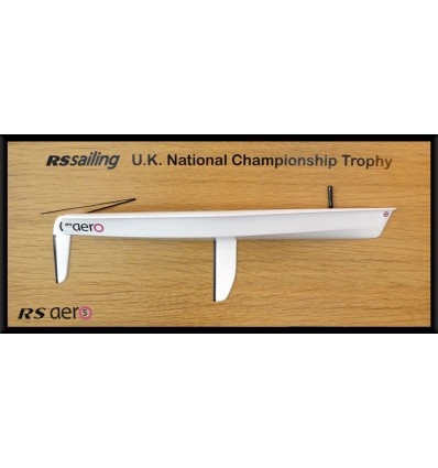 Custom Half Models - RS Sailing - RS Sailing aero5 half model - Abordage