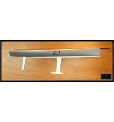 Custom Half Models - TP 52 - TP 52 flushdeck half hull - Abordage