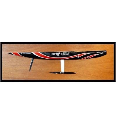 Custom Half Models - - ALINGHI 2007 half hull - Abordage