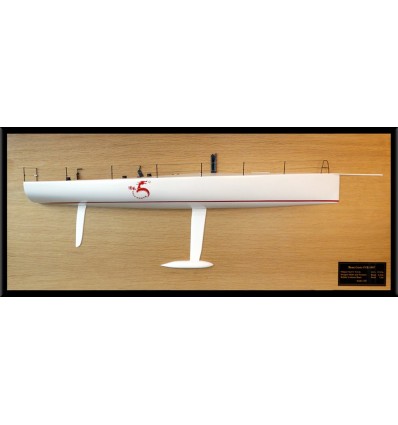 Custom Half Models - TP 52 - TP 52 Beau Geste half model - Abordage