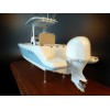 Custom Models - EdgeWater Boats - EdgeWater 229CC custom model - Abordage