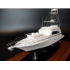 Custom Models - Bertram - Bertram 670 custom model - Abordage