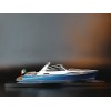 Custom Models - Palm Beach Motor Yachts - Palm Beach 50 GT custom model - Abordage