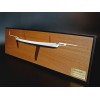 Custom Half Models - - Chesapeake Bay Log Canoe half model - Abordage
