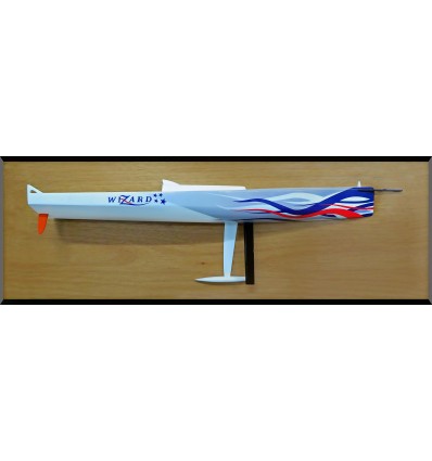 Custom Half Models - - Volvo Open 70 WIZARD, old Groupama - Abordage