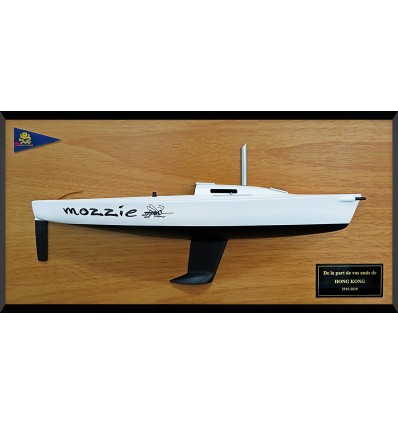 Custom Half Models - JBoats - J80 half model with deck details (but without the lifelines) - Abordage