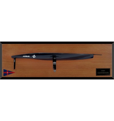 Custom Half Models - - AC 75 PATRIOT half hull MM-100 - Abordage