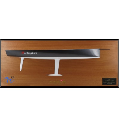 Custom Half Models - TP 52 - TP 52 custom half hull flushdeck - Abordage