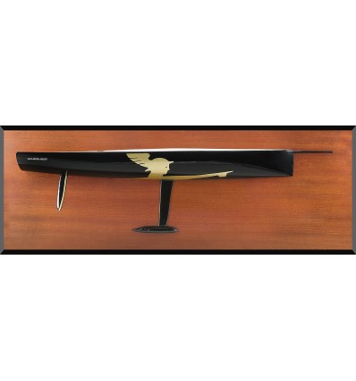 Custom Half Models - TP 52 - TP52 Transpac flushdeck half hull - Abordage