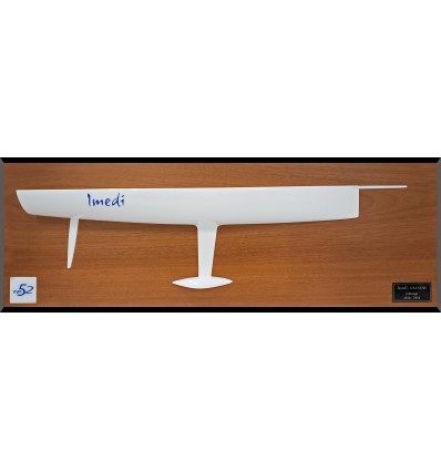 Custom Half Models - TP 52 - TP 52 flushdeck half hull replica - Abordage