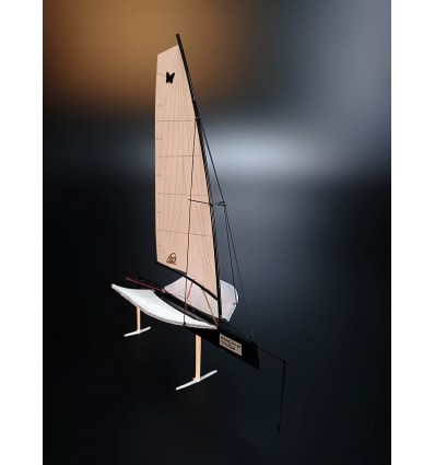 Custom Models - - Foiling Moth 750 custom model - Abordage