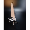Custom Models - - Foiling Moth 750 custom model - Abordage