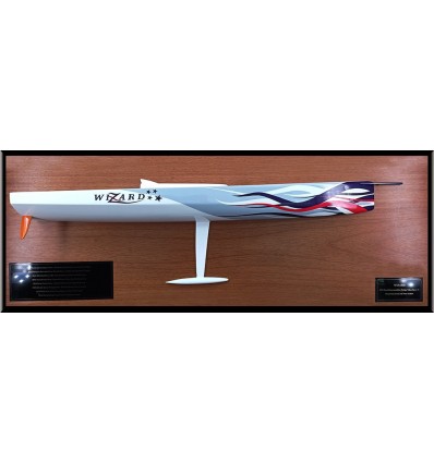 Custom Half Models - - Volvo Ocean Race VOR 70 WIZARD custom half model - Abordage
