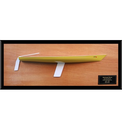 Laser half hull replica