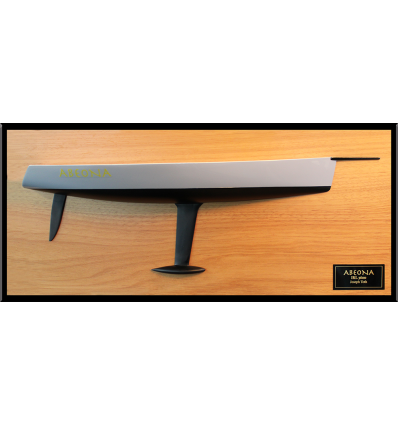 Mumm 36 custom half hull