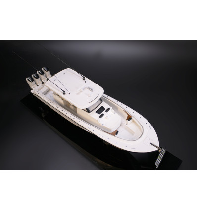 HCB 48 Campeón gorgeous custom model