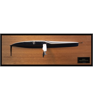 AC 75 PATRIOT American Magic half hull 2024 MM-200