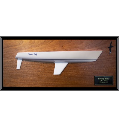 Alerion Express 27 custom half hull