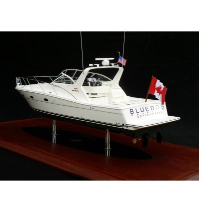 Custom Models - Tiara - Tiara 3500 Open "Blue Dog" - Abordage