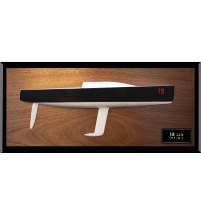 Nelson Marek 1D 35 half model with cabin and cockpit only