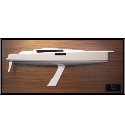 Pogo 44 custom half model