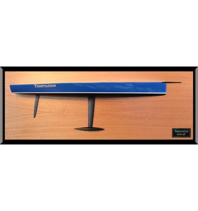 Judel Vrolijk 66 Temptation custom half model